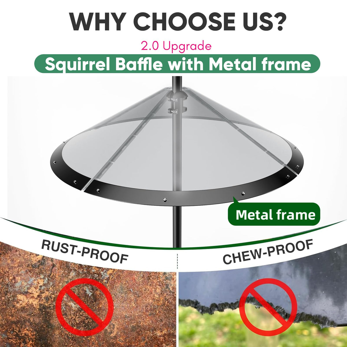 KITVONA squirrel guard with metal frame protects bird houses from gnawing.