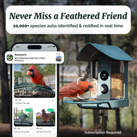 AI detection highlights bird species and records sightings in your collection.
