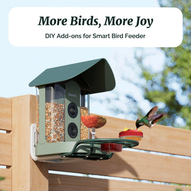 Kiwibit mini hummingbird feeder attracting hummingbirds to the kit