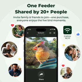 Real-time alerts notify you when birds arrive with secure Wi-Fi connectivity.