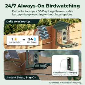 Kiwibit solar-powered system with adjustable panel ensures ongoing backyard viewing.