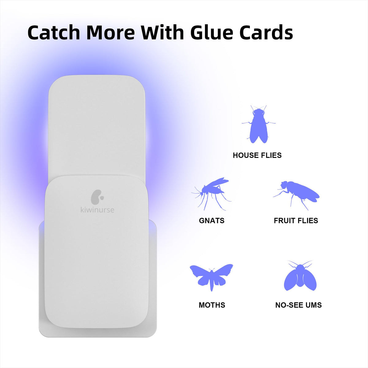 Kiwinurse refill glue card no odor design suitable for pet-friendly homes
