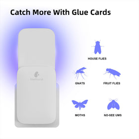 Kiwinurse refill glue card no odor design suitable for pet-friendly homes