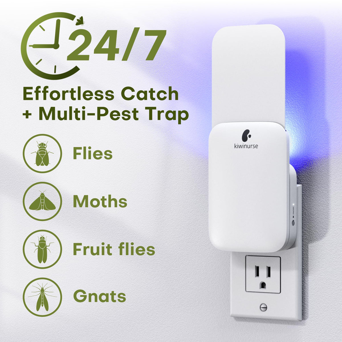 Kiwinurse UV light attraction captures fruit flies and gnats quickly.