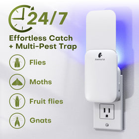 Kiwinurse UV light attraction captures fruit flies and gnats quickly.