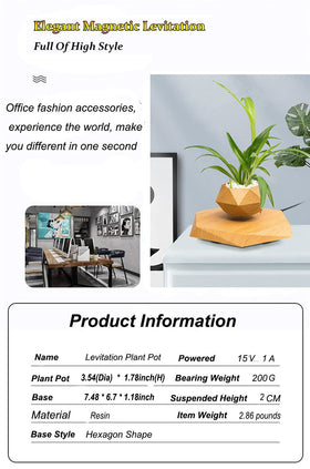 KIYOMING bonsai on pot floats for a calm desk focal point
