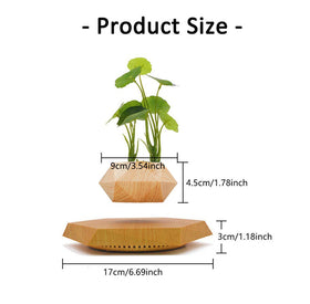 KIYOMING float and rotate demo creates dynamic office centerpiece