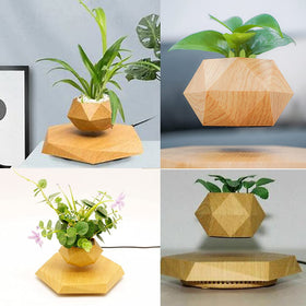 KIYOMING flower holder enables a stable midair plant display