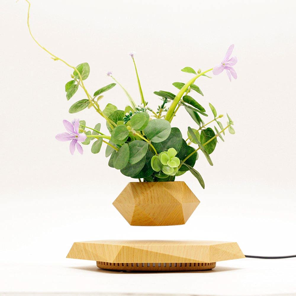 KIYOMING US power adapter powers float and gentle rotation