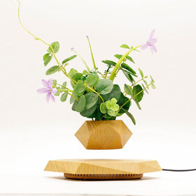 KIYOMING US power adapter powers float and gentle rotation