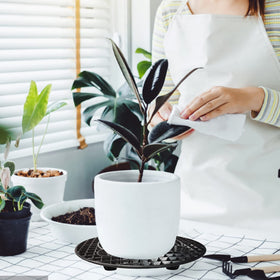 KKONHII six-pack plant stands for versatile indoor/outdoor setups.