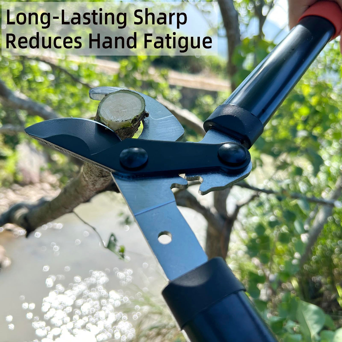 KLDOLLAR loppers in a garden setting for hedges and bamboo trimming.