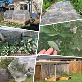KLEWEE netting protecting fruit trees and berries such as peaches, blueberries, and strawberries.
