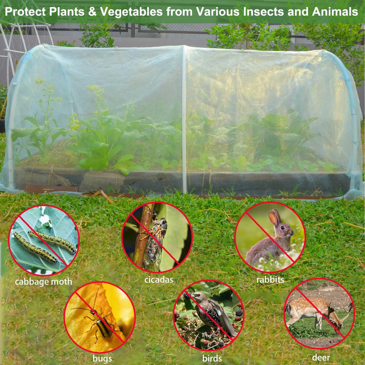 KLEWEE garden netting barrier shielding plants from birds and pests without blocking light.