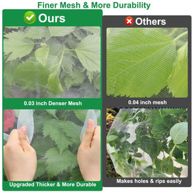KLEWEE transparent mesh letting sun and air reach leaves and roots.