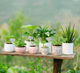Versatile garden markers fit pots, beds, and greenhouses.
