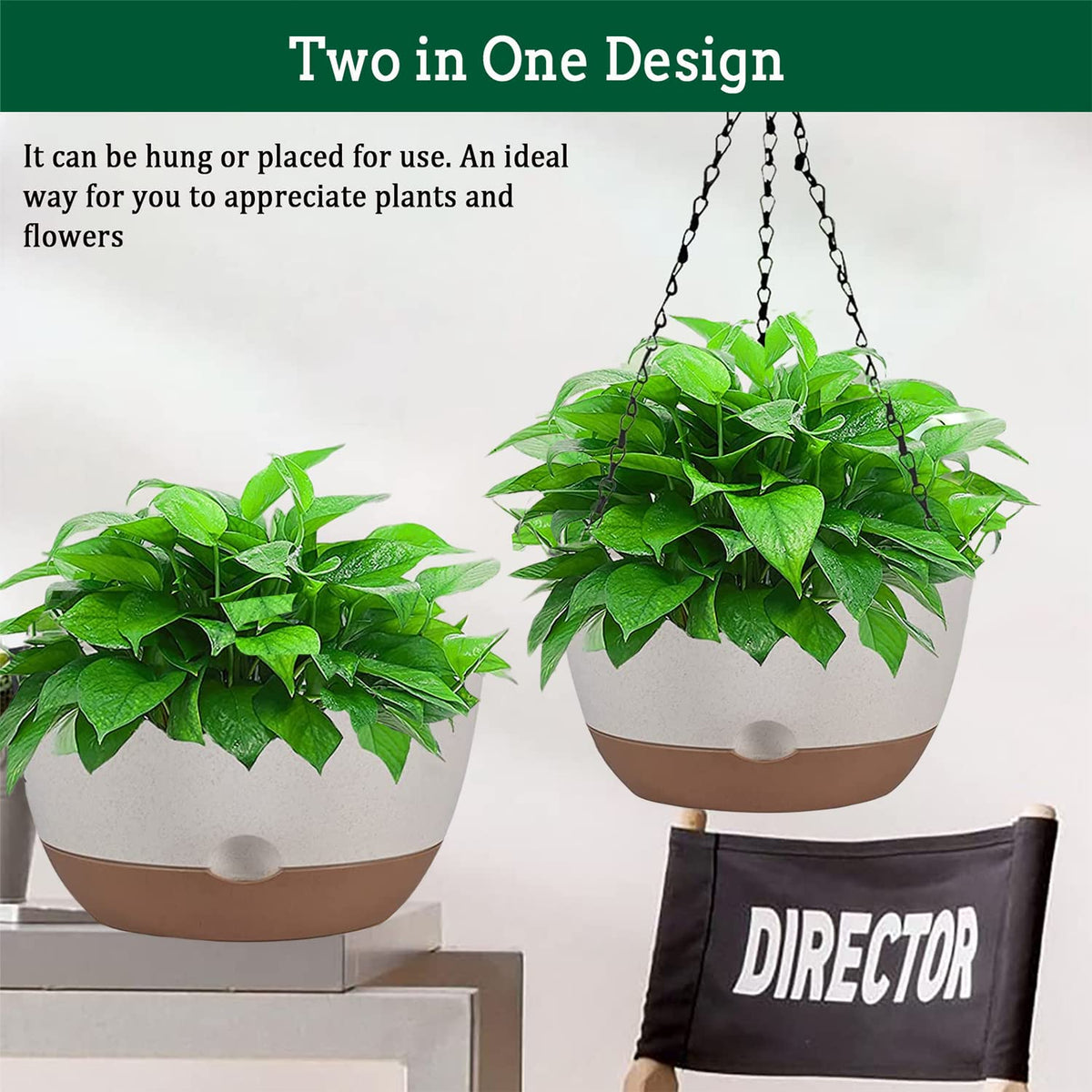 Koalaime 10-inch planter with flowers and herbs in a sunny balcony