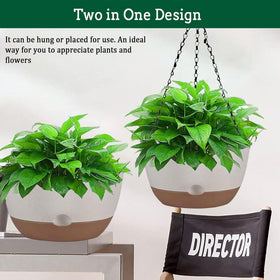 Koalaime planters suit flowers, herbs, ferns, and succulents.