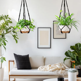 Koalaime detachable saucer and reservoir support healthier roots between waterings