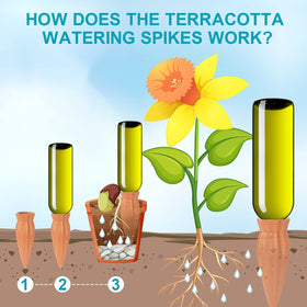 KOAMLY wine or beer bottle irrigation supports eco-friendly watering.