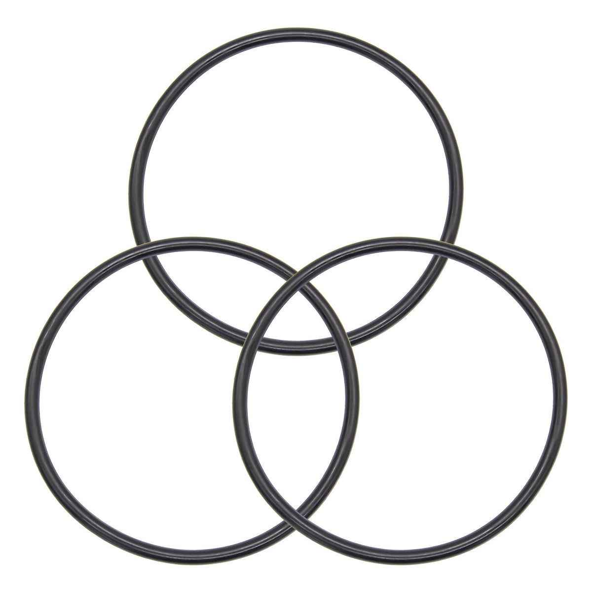 Koatukys 350013 lid O-Ring close-up showing durable rubber seal for Pentair pumps.