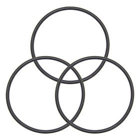 Koatukys 350013 lid O-Ring close-up showing durable rubber seal for Pentair pumps.