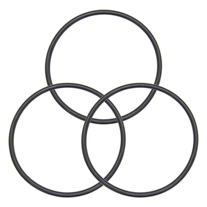 Koatukys 350013 lid O-Ring close-up showing durable rubber seal for Pentair pumps.