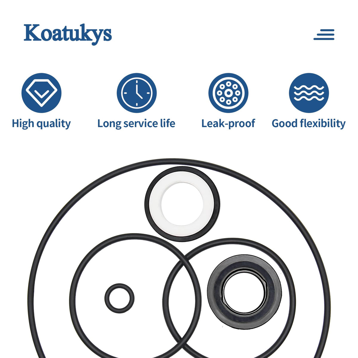 Koatukys PS-200 kit-in-packaging shows a ready-to-use rebuild kit for DIY repairs.