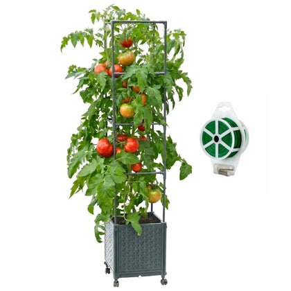 KOBAZ raised garden bed with trellis supports tomatoes for vertical growth.