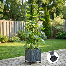 KOBAZ self-watering reservoir helps keep soil moisture steady.