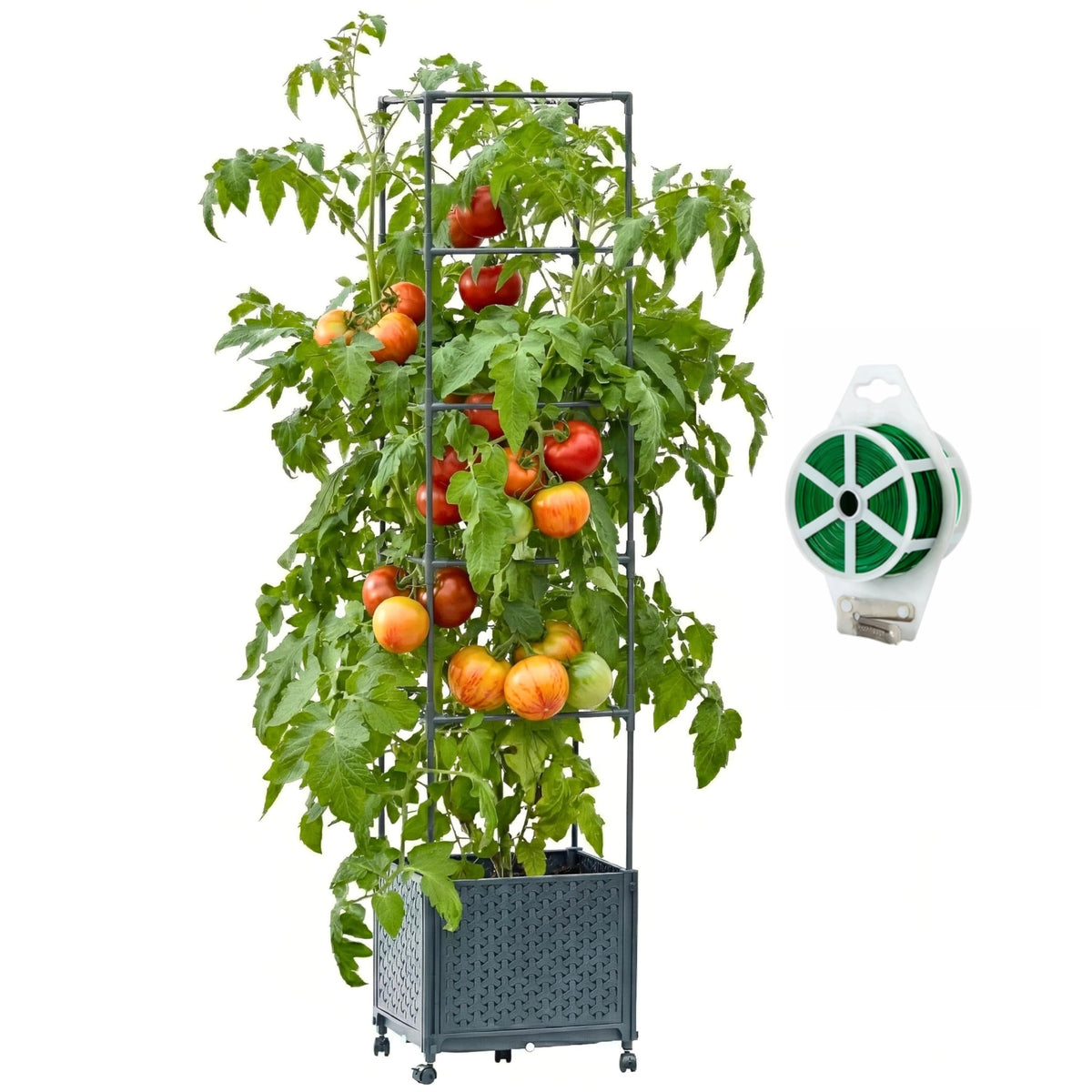 KOBAZ tomato planter box with trellis, front view, supports climbing tomatoes.