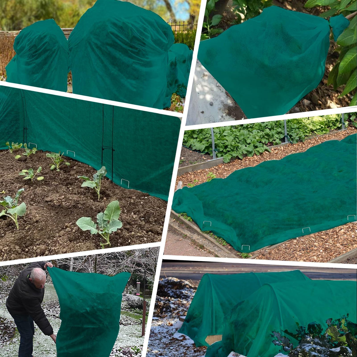 Kockuu summer protection reduces sun stress for leafy plants