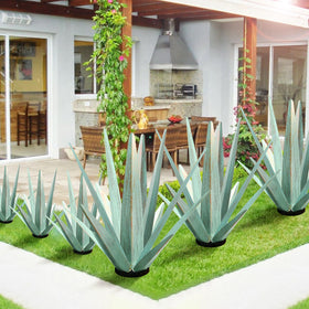 KODIBO hand-painted garden statue brings timeless yard character.