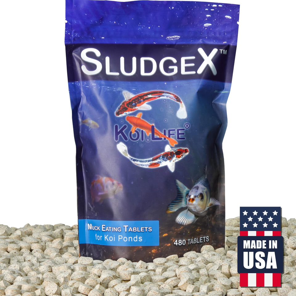 KOI LIFE SludgeX pond tablets packaging shows easy-to-use treatment for small ponds.