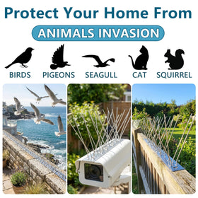 KOKMEYA spikes installed on windowsills and ledges help maintain exterior cleanliness.