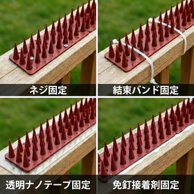 KOKMEYA garden bed spikes keep critters away from seedlings and plants.