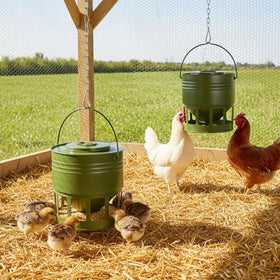 KOL Adjustable-height feeder secures at any coop level for flexible feeding.