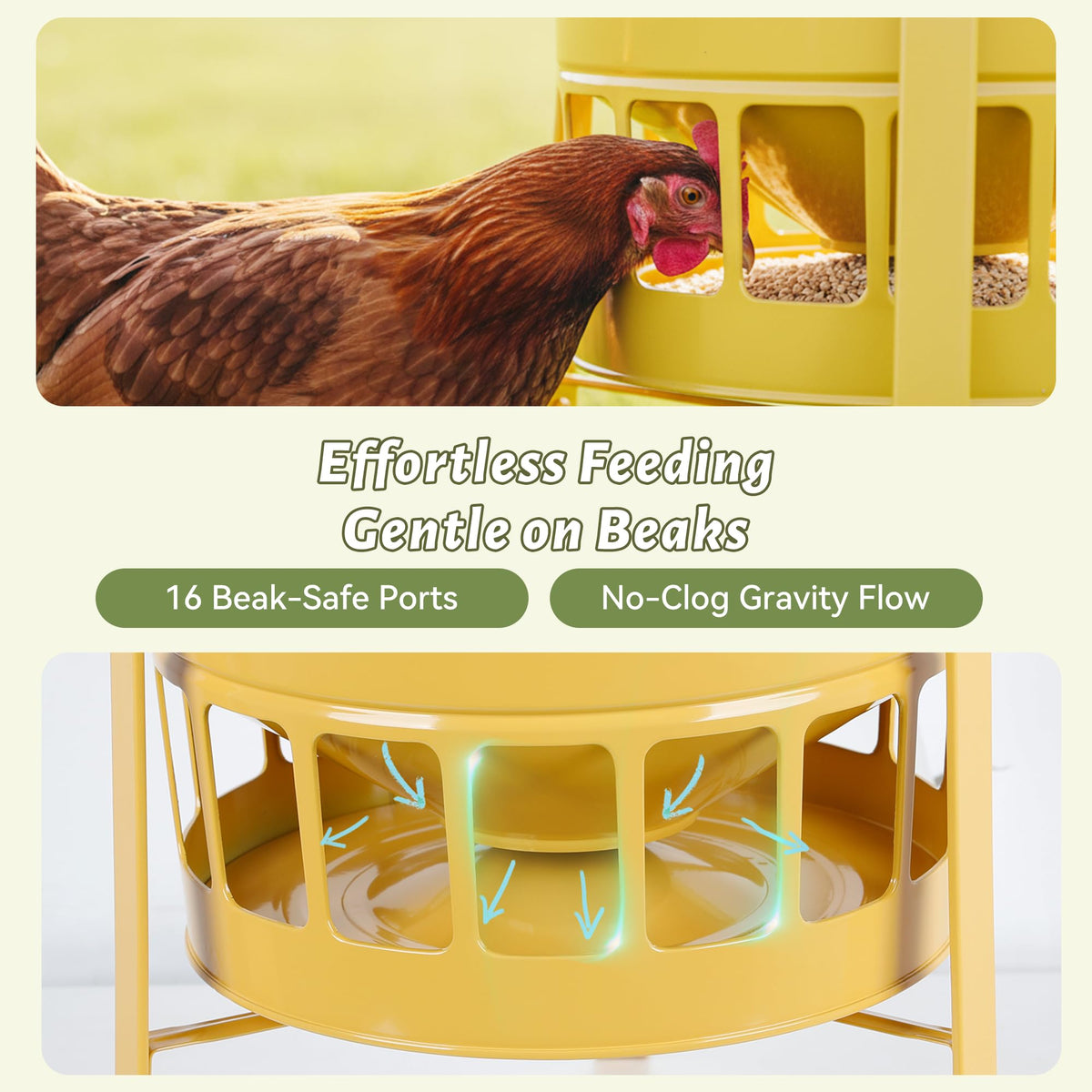 KOL Chicken Feeder 50lb capacity highlights bulk feeding for busy coops.
