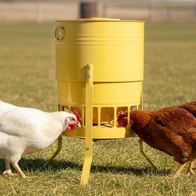 KOL Chicken Feeder No Waste front view showing spill-control feature.