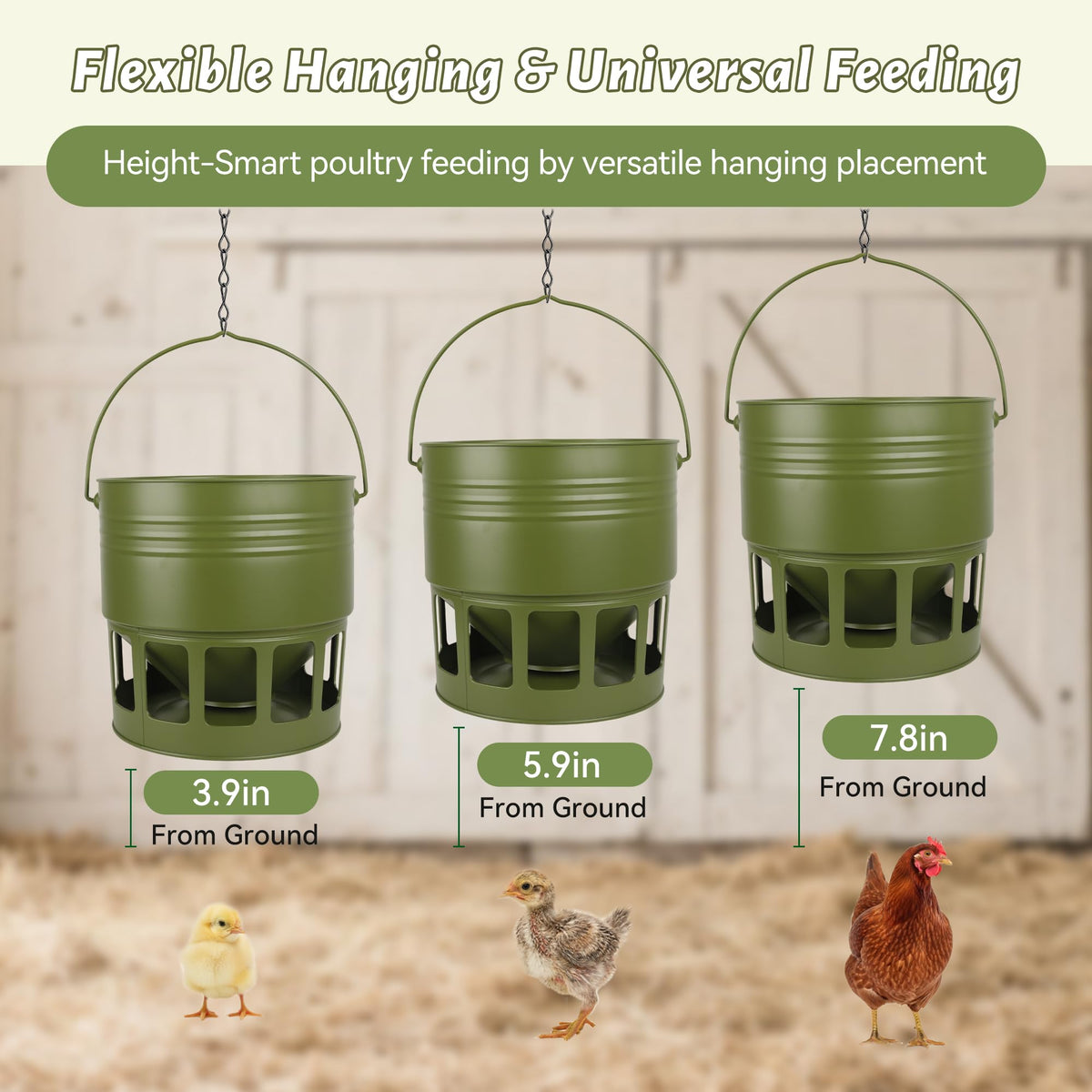 KOL Feeder with 12 ports close-up demonstrates smooth, spill-free feeding.