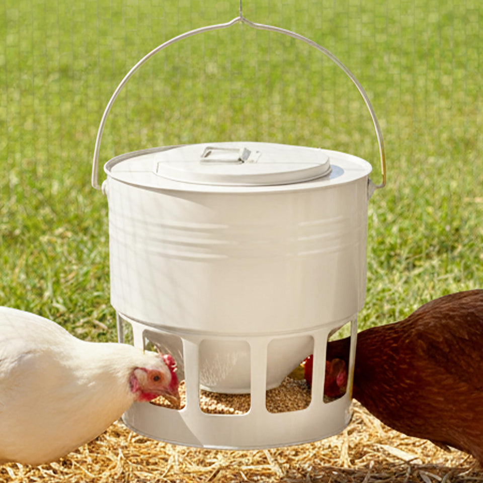 KOL hanging chicken feeder with 20lbs capacity for steady flock feeding