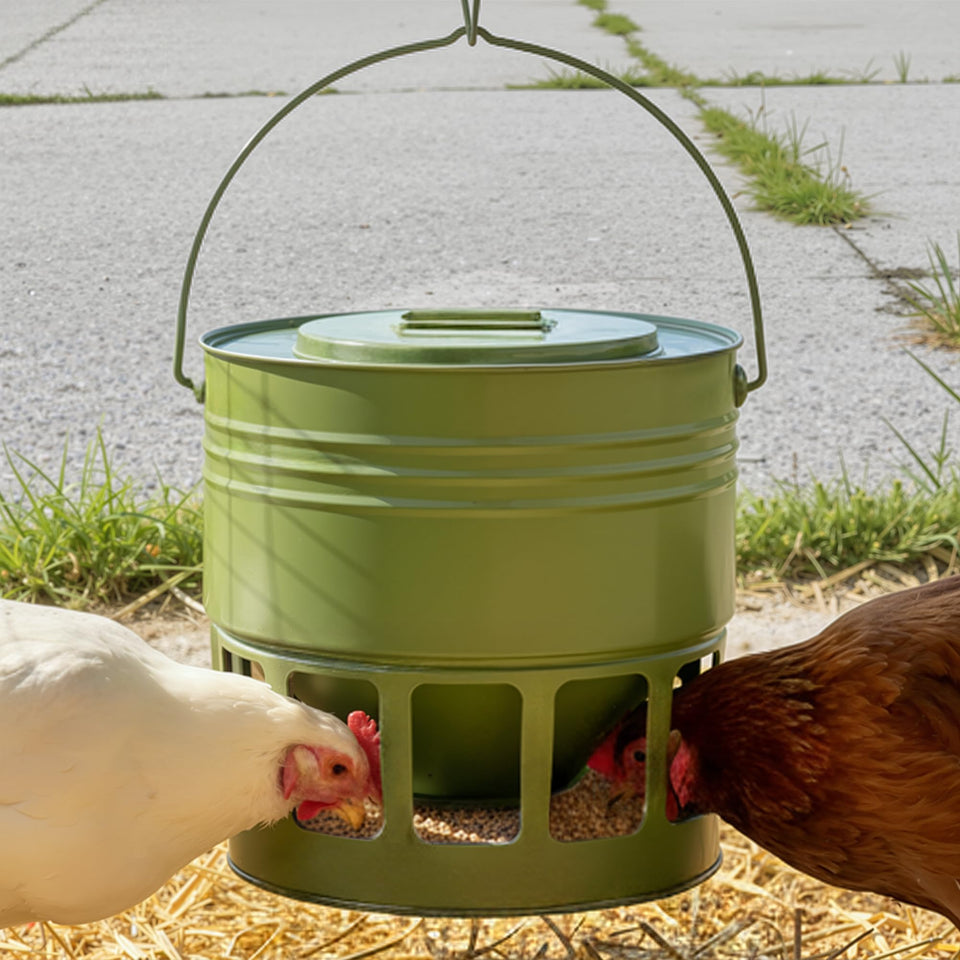 KOL Hanging Chicken Feeder 20lbs in coop reduces waste and keeps feed clean.