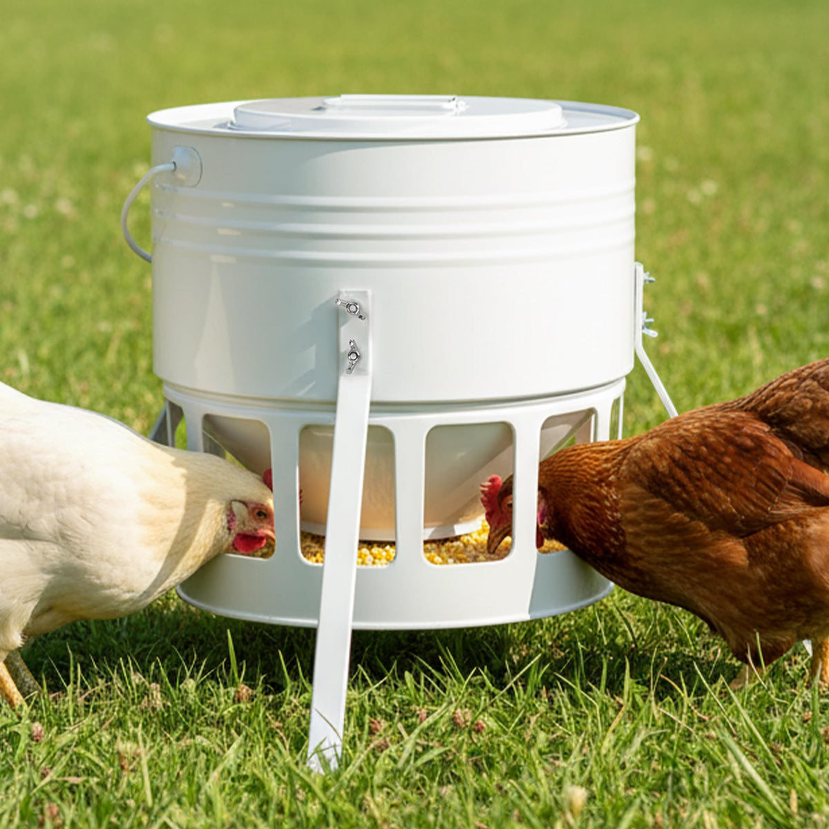 KOL metal chicken feeder 20lbs capacity reduces refills outdoors.