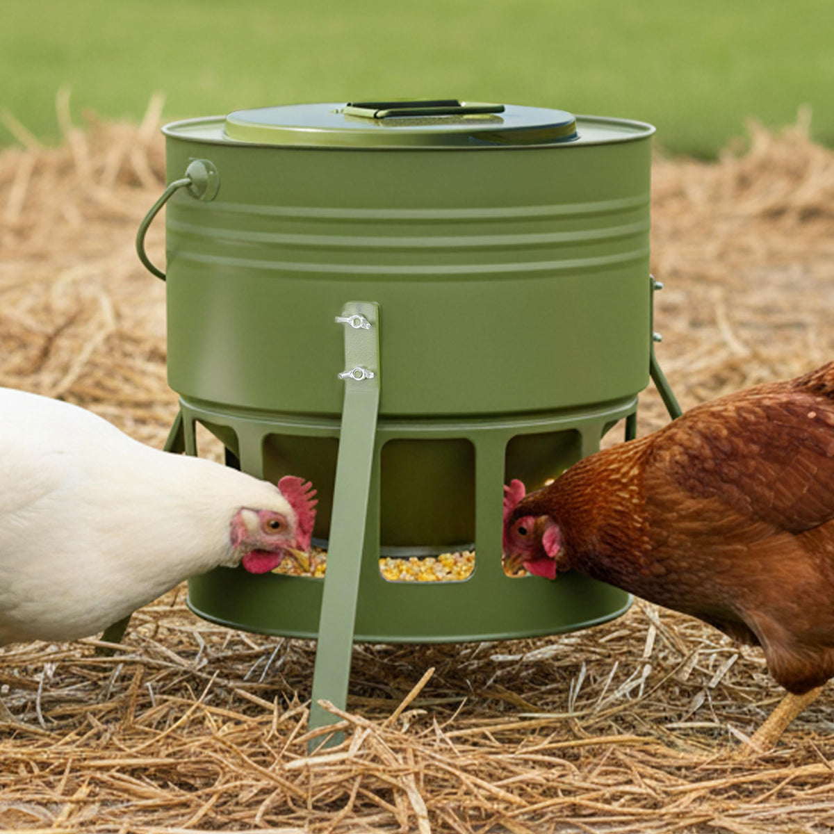 KOL metal chicken feeder 20lbs with large capacity for a growing flock.