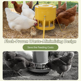 KOL Metal Chicken Feeder with rust-proof powder coating for outdoor use