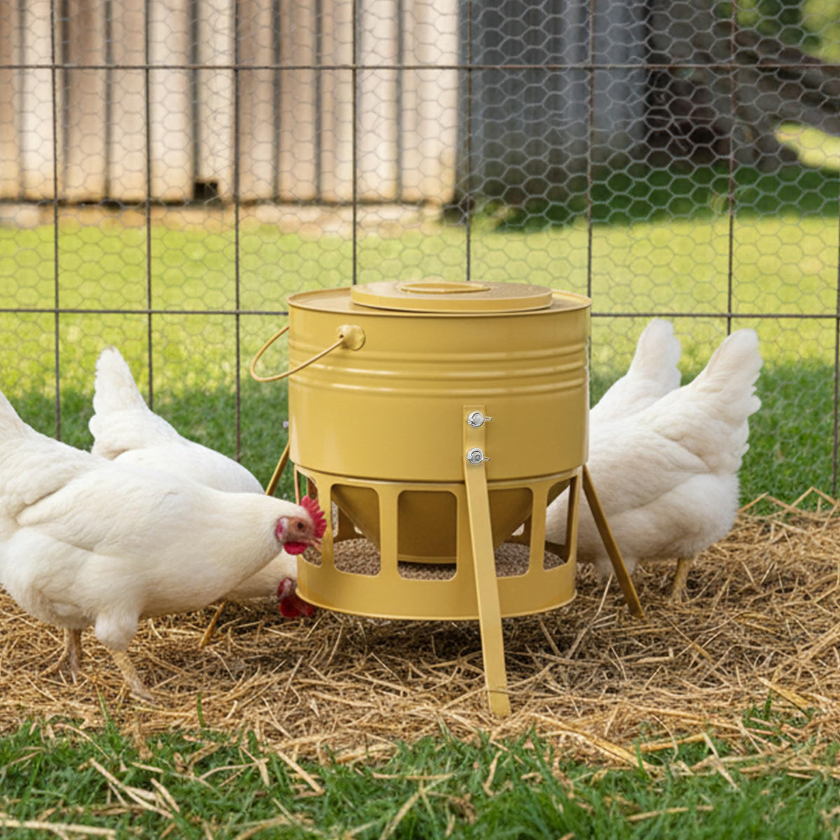 KOL Metal Chicken Feeder yellow finish brightens the coop