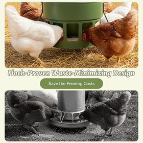 Twelve-port design provides multi-bird access at chick-friendly height.