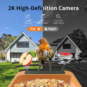 Kompinac Bird Feeder AI species ID highlights feathered visitors in real time