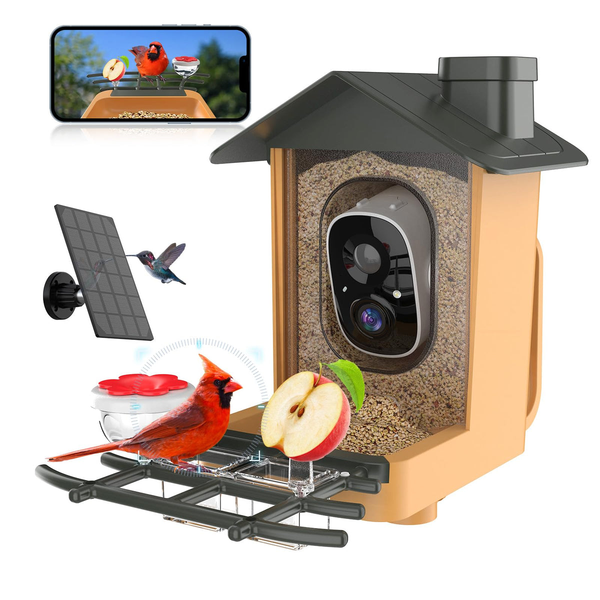 Kompinac Bird Feeder camera 2K HD captures day and night visits