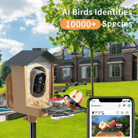 Kompinac Bird Feeder night vision shows dusk birds clearly